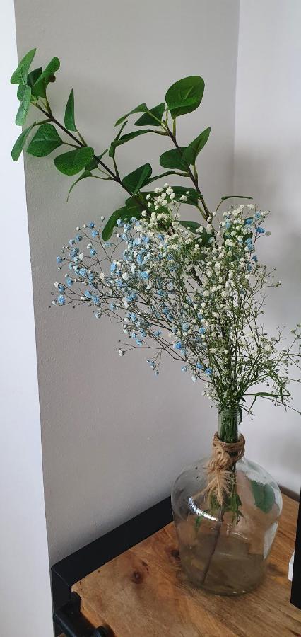 רוקאוטס דה מר Apartamento Faro 1 מראה חיצוני תמונה